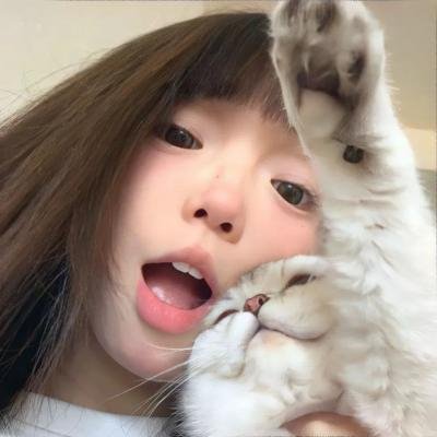 超完美杀手
